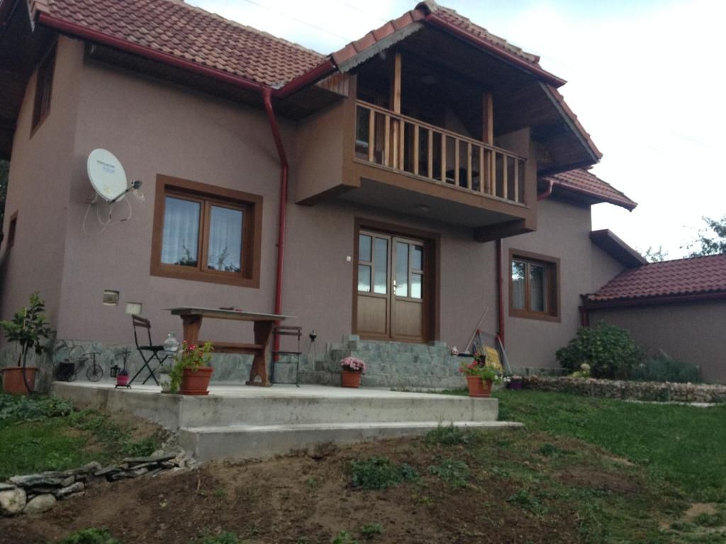 Дома для отпуска Casa Darius Новач-Стрэйни-46